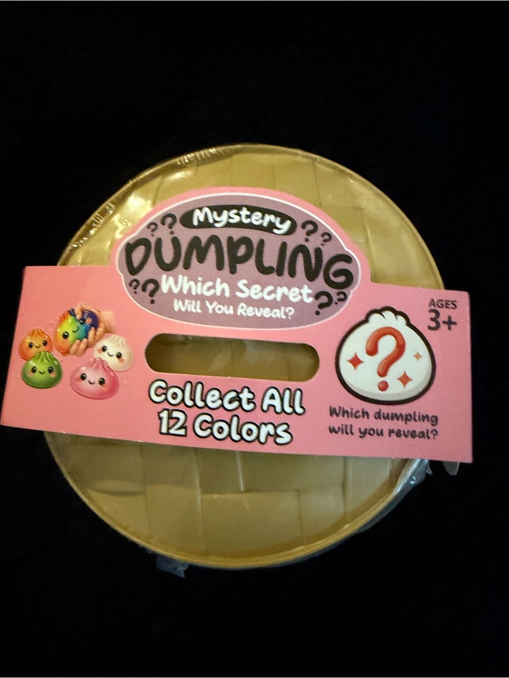 Mystery Dumpling Sealed Collectible Toy.  Sensory